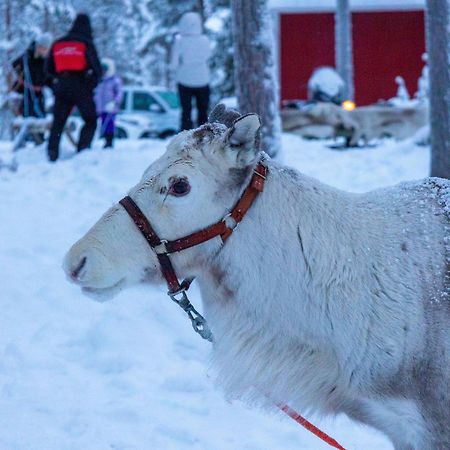 Skyfire Village Igloos Рованиеми Екстериор снимка